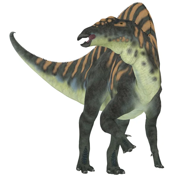 Ouranosaurus Herbivore Dinosaur — стокове фото