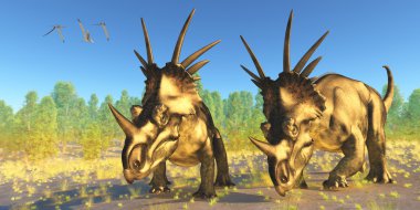 Styracosaurus Dinosaurs clipart