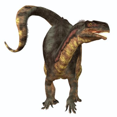Plateosaurus Otobur Dinozor