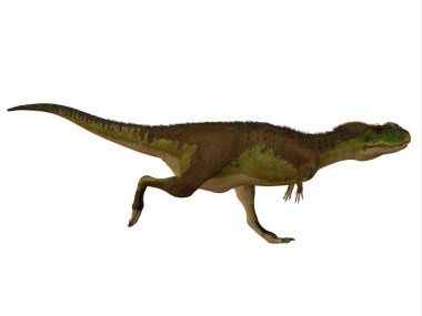 Rugops dinozor yan profili