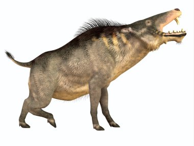 Entelodon yan profili