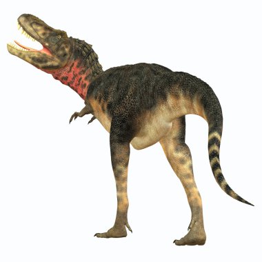Tarbosaurus dinozor kuyruk
