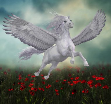 Pegasus ve kırmızı haşhaş