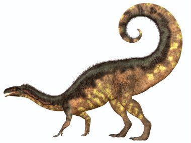 Plateosaurus dinozor kuyruk