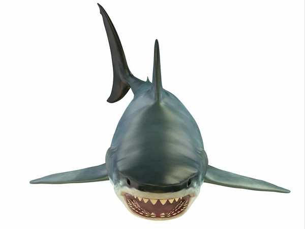 Mamute grande tubarão branco — Fotografia de Stock