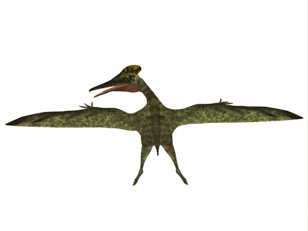 Pterodactylus 爬行动物恐龙 — 图库照片