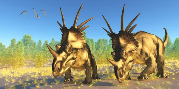 Styracosaurus dinosauři — Stock fotografie