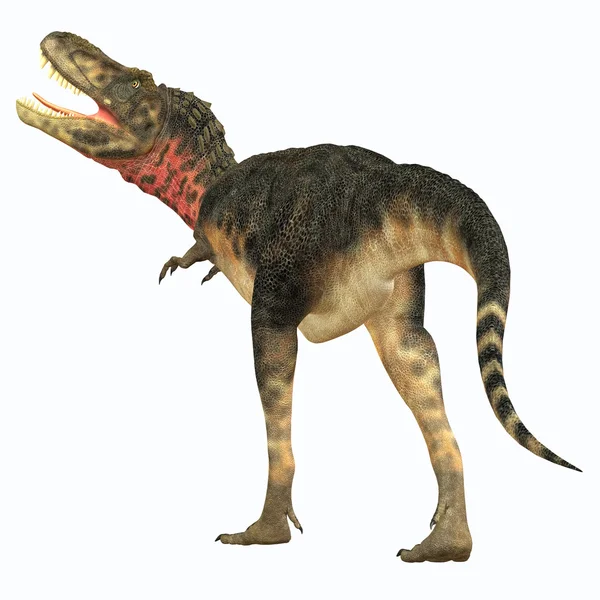 Динозавр Tarbosaurus хвіст — стокове фото