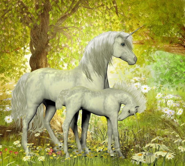 Tek boynuzlu atlar ve beyaz papatya — Stok fotoğraf