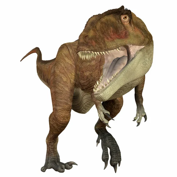 Carcharodontosaurus 육 식 동물 — 스톡 사진