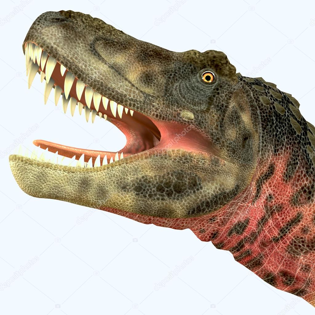 Tarbosaurus Dinosaur Head