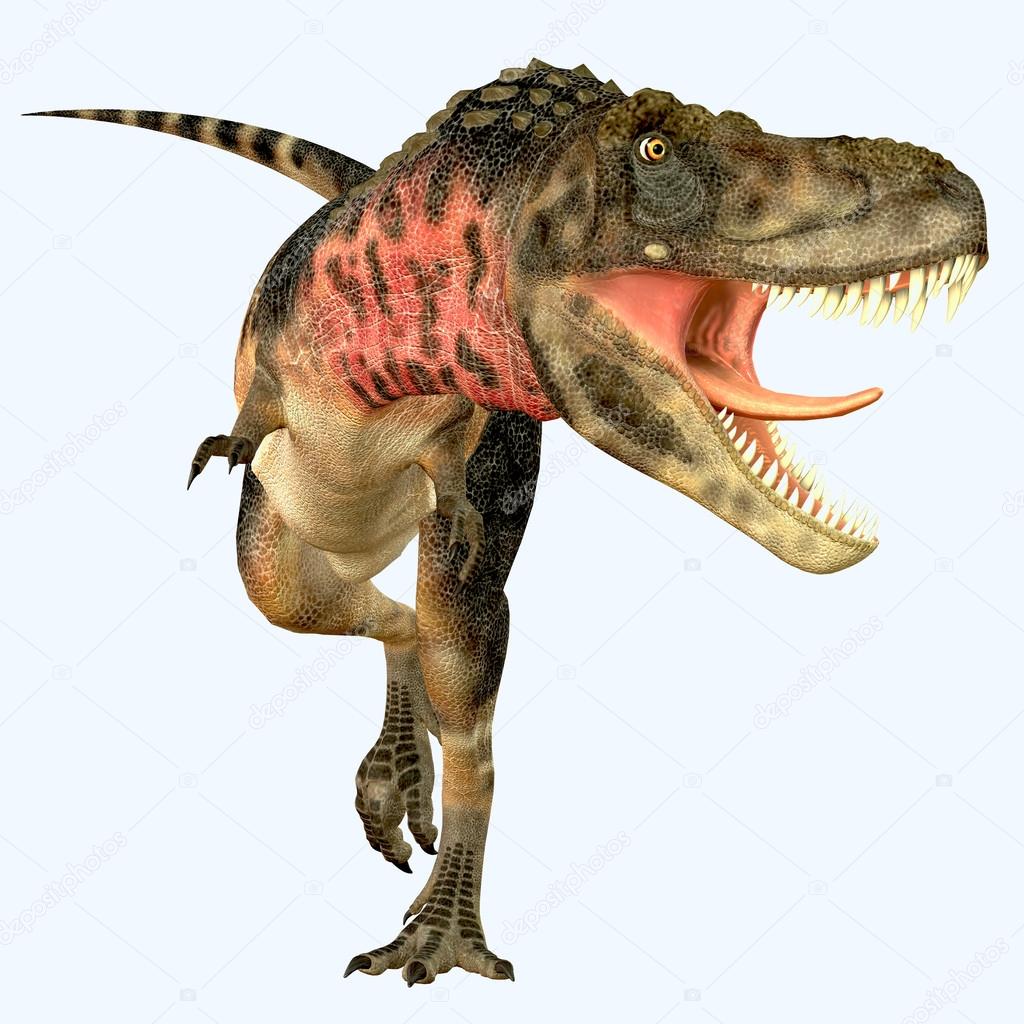 Tarbosaurus köttätande dinosaurie — stockfotografi © coreyford ...