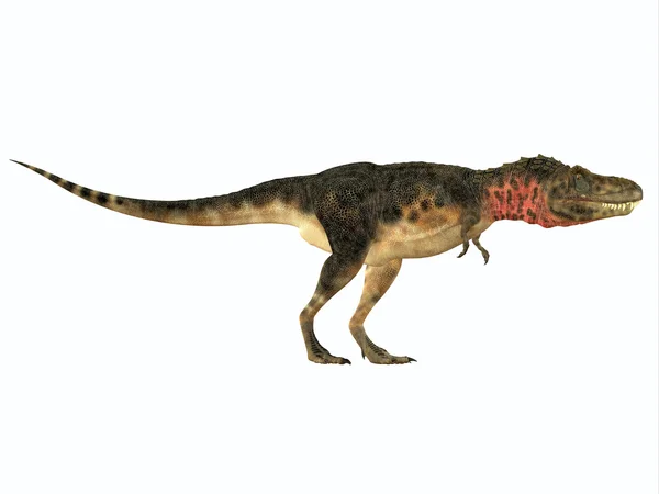 Tarbosaurus 侧剖面 — 图库照片