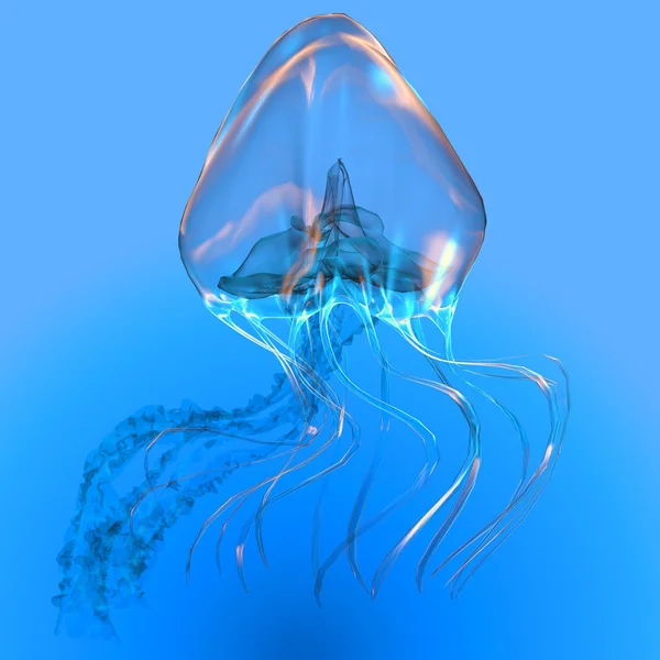 Синие светящиеся медузы — стоковое фото