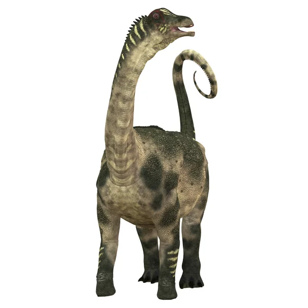 Antarctosaurus over Wit — Stockfoto