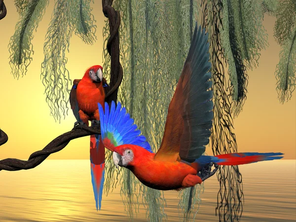 Rood en groen Macaws — Stockfoto