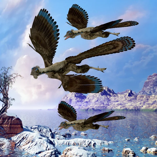 Archaeopteryx Reptiles voladores Imágenes de stock libres de derechos