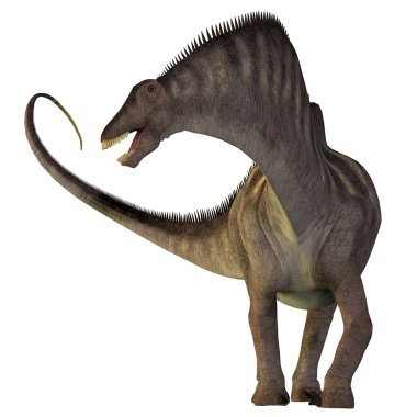 Amargasaurus beyaz