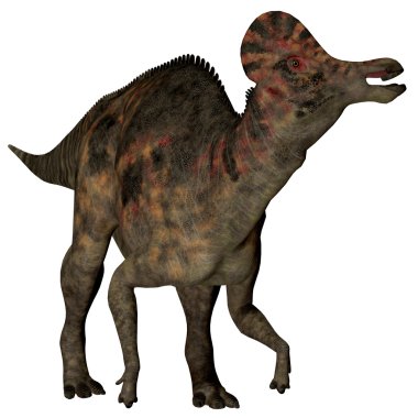 Corythosaurus ördek gagalı dinozor