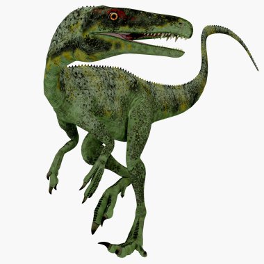 Juravenator Jurassic Dinozor