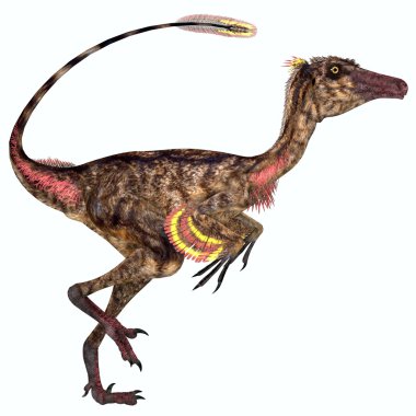 Troodon dinozor profili