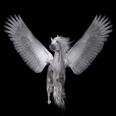 Siyah beyaz Pegasus
