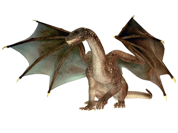 Angry Dragon — Stock Photo, Image