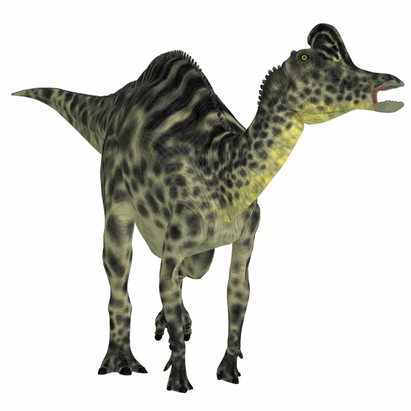 Velafrons dinossauro hadrosauro — Fotografia de Stock
