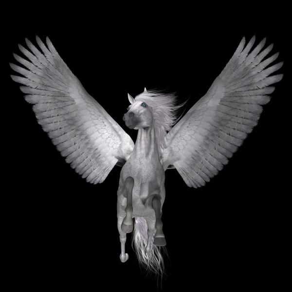 Witte Pegasus op zwart — Stockfoto