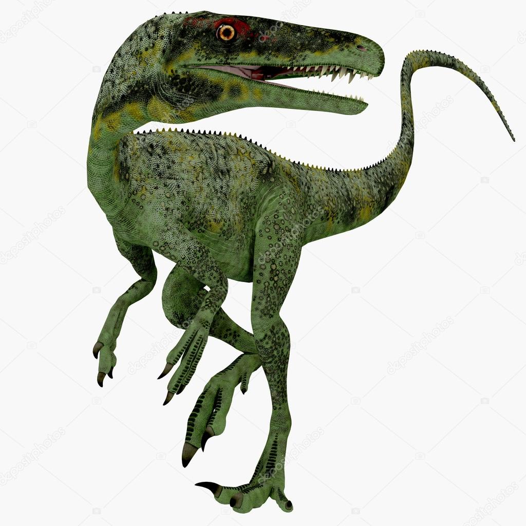 Juravenator jurassic dinosaurie — stockfotografi © coreyford #85034320