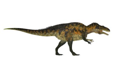 Kretase döneminde Kuzey Amerika'da yaşayan bir theropod etobur dinozor Acrocanthosaurus yapıldı.