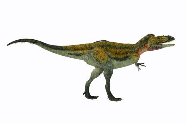Alioramus Asya'da Kretase döneminde yaşamış bir etobur theropod dinozordu.