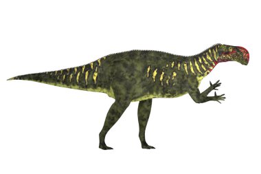 Altirhinus bir iguanodont otobur dinazor Kretase dönemi Moğolistan üzerinden yapıldı.