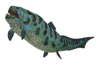 Dunkleosteus Kuzey Amerika denizlerde Devoniyen dönemde yaşamış bir nesli tükenmiş placoderm balıktır.
