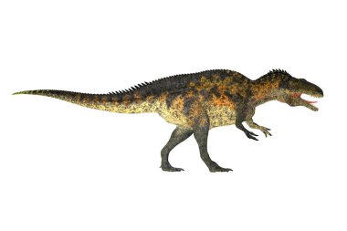 Kretase döneminde Kuzey Amerika'da yaşayan bir theropod etobur dinozor Acrocanthosaurus yapıldı.