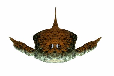 Bothriolepis tatlı su içinde ve yakın kıyı deniz ortamlar Devoniyen dönemde yaşamış bir su placoderm balık oldu.