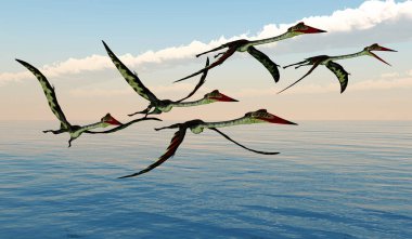 Quetzalcoatlus Kuzey Amerika'nın Kretase döneminde yaşamış bir yırtıcı pterosaur yapıldı..