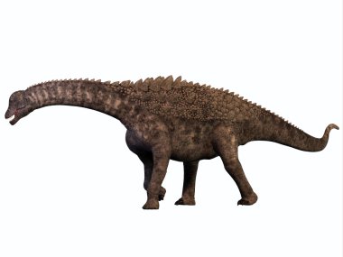Ampelosaurus beyaz