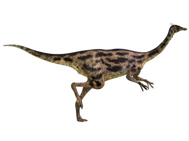 Gallimimus dinozor profili