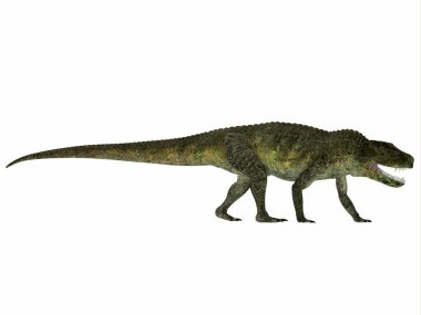 Postosuchus sürüngen profili