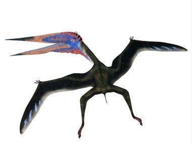 Zhejiangopterus uçan Pterosaur