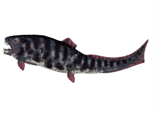 Dewonu ryb Dunkleosteus — Zdjęcie stockowe