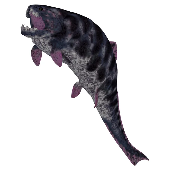 Dunkleosteus fisk på vit — Stockfoto