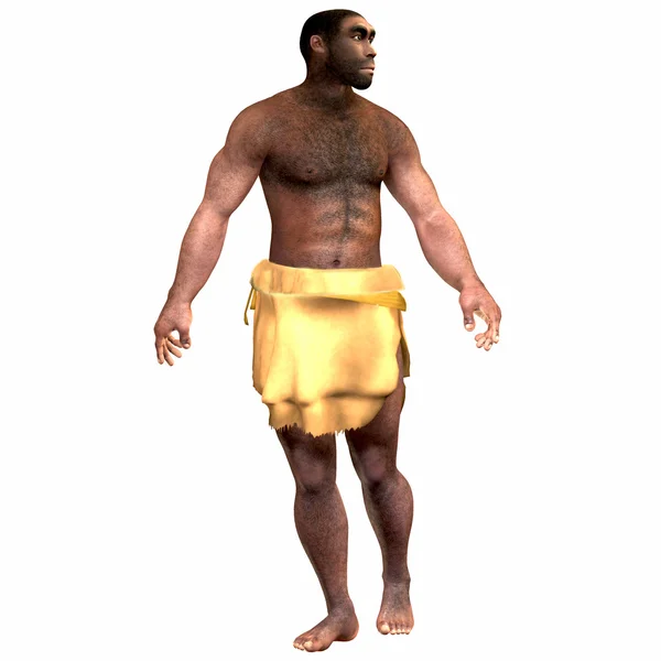 Homo erectus männlich — Stockfoto