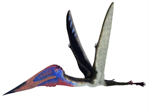 Uccello Pterosauro Zhejiangopterus — Foto Stock