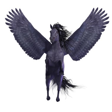 Beyaz üzerine siyah Pegasus