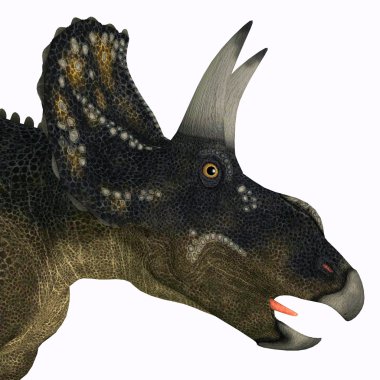 Nedoceratops dinozor kafası