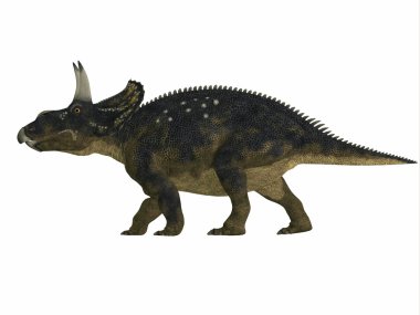 Nedoceratops yan profili