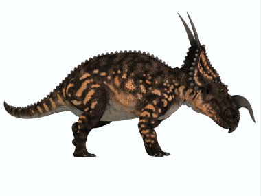 Einiosaurus yan profili