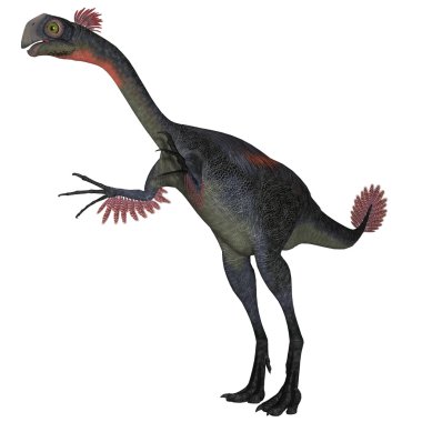 Gigantoraptor dinozor beyaz